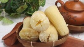 Singkong rebus bisa jadi pengganti nasi