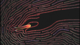 Ilustrasi darah buatan temuan profesor Jepang. Foto: newyorker.com