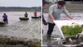 Video Wapres Gigran mencoba mesin tanam padi baru Rice Transplanter di Ngawi. Dalam video itu Gibran menjalankan mesin dengan berjalan maju,  bukan mundur seperti video pembandingnya. Karena berjalan maju, tanaman bibit padinya terinjak. Tangkap layar video X@kangmanto123