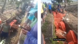 Enam motor dan plastik wadah ayam berhamburan masuk parit, Jumat pagi, 30 Mei 2025 sekitar pukul 07.00 WIB, terjadi kecelakaan lalu lintas di Jalan Desa Sumbergondang, Kecamatan Kabuh, Kabupaten Jombang, antara sebuah truk pengangkut ayam dan enam sepeda motor yang terparkir di pinggir jalan. Tangkap layar video Instagram@jombanginformasi_