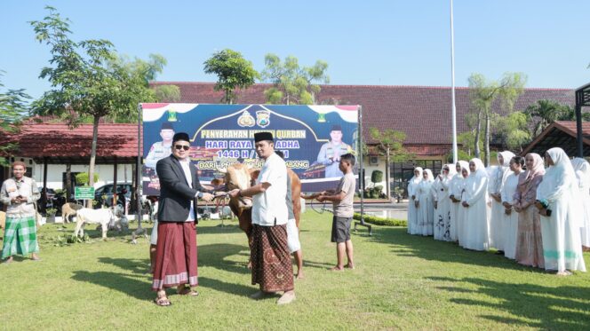 
					saat penyerahan hewan kurban oleh Kapolres Jombang