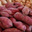 Ubi jalar tak cocok sebagai pengganti nasi