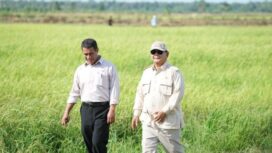 Menteri Pertranian (Mentan) Amran Sulaiman bersama Presiden Prabowo Subianto pada kunjungan kerja meninjau persawahan. (Foto: Istimewa)