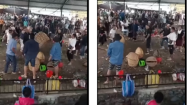 Terjadi perkelahian di arena taji (sabung ayam) di Banjar Tabu, Desa Songan B, Kecamatan Kintamani, Bangli pada Sabtu, 14 Juni 2025 sekitar pukul 16.30 WITA, terdapat korban jiwa dan korban luka. Satu orang tewas, yaitu Komang Alam (37 tahun), Instagram@ikl_nusantara