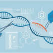 Ilmuwan menggunakan teknologi CRISPR (Clustered Regularly Interspaced Short Palindromic Repeats), yaitu rekayasa genetika mutakhir yang memungkinkan ilmuwan untuk mengedit DNA secara presisi, cepat, dan relatif murah. Termasuk memangkas HIV yang mendekam dalam DNA. Foto: zelenial.com