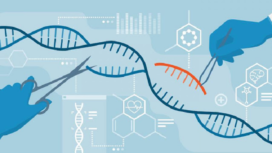 Ilmuwan menggunakan teknologi CRISPR (Clustered Regularly Interspaced Short Palindromic Repeats), yaitu rekayasa genetika mutakhir yang memungkinkan ilmuwan untuk mengedit DNA secara presisi, cepat, dan relatif murah. Termasuk memangkas HIV yang mendekam dalam DNA. Foto: zelenial.com