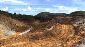 Inilah wajah Pulau Gag, di kawasan Raja Aampat, Papua Barat, salah satu pulau yang menjadi lokasi penambangan nikel yang menjadi isu nasional saat ini. Aktivis lingkungan bekerja keras menolak dan membatalkan tambang tersebut, namun sebagian warga Gag, malah mendukung operasi tambang. Foto: Antaranews.com