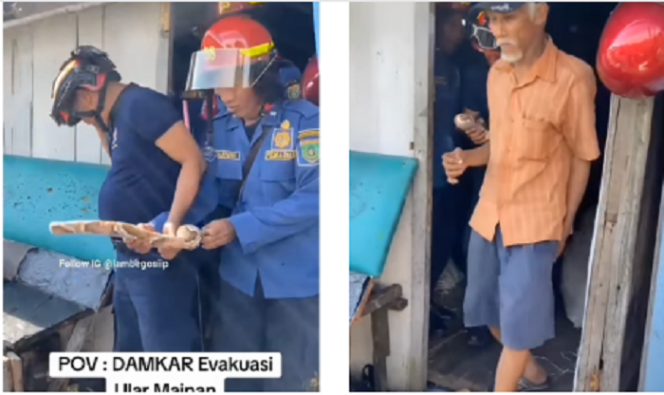 
					Empat personel petugas Damkar Depok secara sigap berhasil mengevakuasi seekor ular, ternyata sepotong bonek mainan yang sedang berada di dalam rumah kakek ADD, 72. Persitiw ini dilaporkan pukul 06.30 pagi, kamis 5 Juni 2025. Instagram@lambegosiip