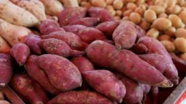 Ubi jalar aman untuk penderita diabetes