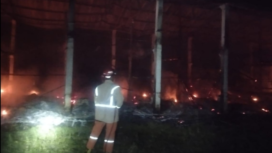 Rabu 2 Juli 2025 dini hari, terjadi kebakaran hebat di sebuah kandang ayam milik Galang Bagus di Dusun Jinggring, Desa/Kecamatan Ngusikan, Kabupaten Jombang, Jawa Timur. Kebakaran itu melalap bangunan kandang ayam 400 m2 dan kematian 10.500 ekor anak ayam usia 7 hari (DOC).  Dok/ Damkar Ploso