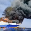 Basarnas Manado mengonfirmasikan bahwa ratusan penumpang kapal KM Gregorius Bacrcelona V berhasil dievakuasi ke pulau Gangga. Kapal penumpang ini mengangkut sebanyak 280 orang, orang dewasa maupun anak, anak. Ternbakar Minggu, 20 Juli 20225. Instagram@manadoku_pnrm