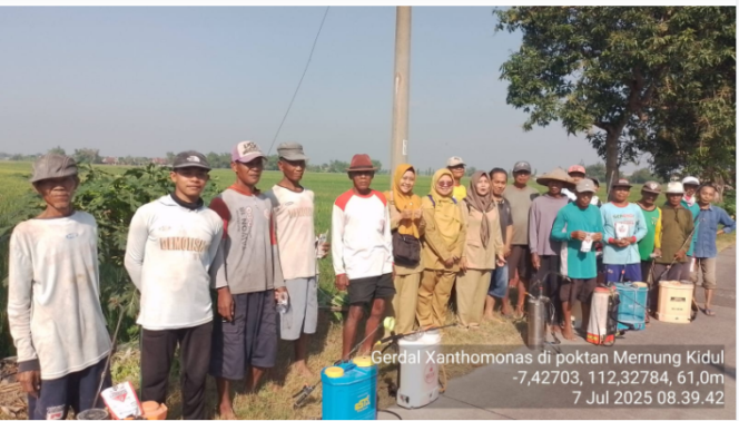
					PPL dan Poktan di wilayah Mernung Kidul Ngusikan, Jombang melakukan gerdal (gerakan poengendali) penyakiit kresek yang menyerangan tanaman padi usia 35-40 sejak hari tanan. Penyeprotan dilakukan pada hari Seni, 7 Juli, 2025. Foto: Dinas Pertanian Jombang