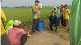 Koordinator PPL Kecamatan Mojowarno, Ahmad Mujiono perlu koordinasi dan komunikasi untuk cegah hama, meluasnya serangan Organisme Pengganggu Tanaman (OPT) Xanthomonas campestris pada pertanaman padi varietas Inpari 32, Dinas Pertanian Kabupaten Jombang melaksanakan Gerakan Pengendalian (Gerdal) pada Rabu, 3 Juli 2025. Foto: jombangkab.go.id