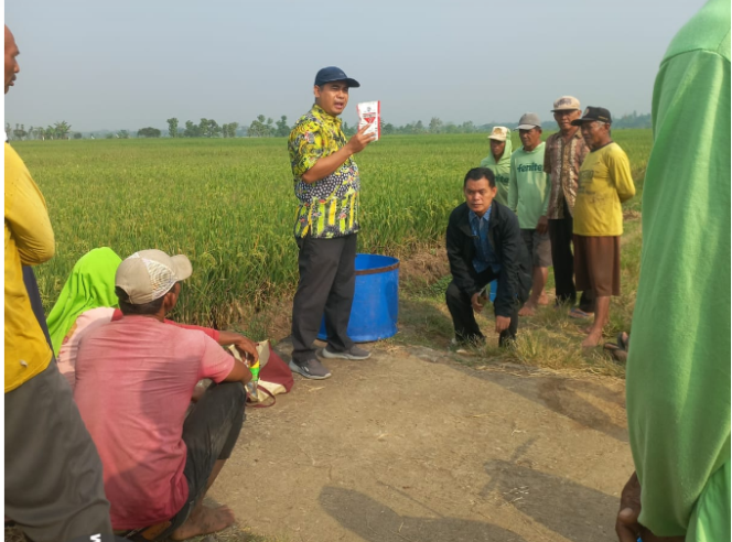 
					Koordinator PPL Kecamatan Mojowarno, Ahmad Mujiono perlu koordinasi dan komunikasi untuk cegah hama, meluasnya serangan Organisme Pengganggu Tanaman (OPT) Xanthomonas campestris pada pertanaman padi varietas Inpari 32, Dinas Pertanian Kabupaten Jombang melaksanakan Gerakan Pengendalian (Gerdal) pada Rabu, 3 Juli 2025. Foto: jombangkab.go.id