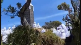 Beginilah suasana ziarah di tugu Hargo Dumilah, puncak gunung Lawu, bertepatan dengan Jumat Kliwon, 11 Juli 2025. Banyak orang merasa heran, padahal sudah 14 kali warga itu melakukan ziarah disana. Foto: X@userxmlf