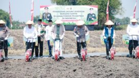 saat proses penanaman jagung secara simbolis