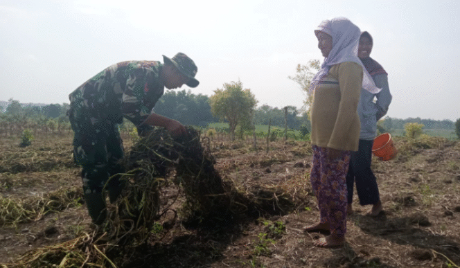 
					Koptu Widodo salah personil Satgas TMMD ke 125 dari Koramil 0814-12/Kesamben yang menyempatkan berkunjung ke Bu Narti petani kangkung benih di Dsn Gondang Desa Kromong, kecamatan Ngusikan Jombang.Minggu, Minggu 3 Agustus 2025. Foto: Diskominfo Jombang
