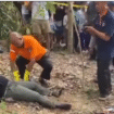 Petugas kepolisian sedang melakukan pemeriksaan terhadagap jasad pria, diduga seorang anggota polisi di Dusun Nyiur Lembang, Desa Jembatan Gantung, Kecamatan Lembar, Kabupaten Lombok Barat, pada Minggu (24/8/2025) sekitar pukul 11.30 WITA. Foto: Instagram@lintangkejora.780