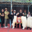 Dinas Peternakan Jombang menyelenggarakan Kontes Nasional Kambing PE Kaligesing Piala Bupati Cup 2025, di lapangan Desa Wonosalam, Kecamatan Wonosalam, Jombang, Sabtu 2 Agustus 2025. Foto: Diskominfo Jombang