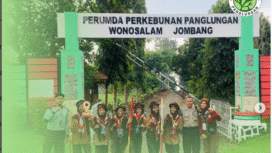 Area HGU seluas 97 hektar yang sekarang dikelola Perumda Panglungan, di Wonosalam, digunakan untuk perkebunan, area wisata, dan wana wisata, dan glamping. Foto: Instagram@perumdapanglungan