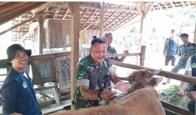 
					Pasiter Kodim 0814/Jombang, Kapten Inf Tatok Budiono, turut hadir dan berpartisipasi dalam kegiatan vaksinasi tersebut didampingi oleh perangkat Desa Kromong, saat pelaksanaan vaksinasi PMK sapi di lokasi TMMD 125 Ngusikan,. Jombang, Senin 4 Agustus 2025. Foto: Diskominfo Jombang 