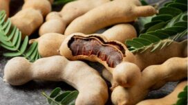 Asam Jawa dipakai bahan obat dan bumbu dapur