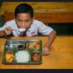 Ilustrasi siswa makan menu MBG, Sumber Art AI