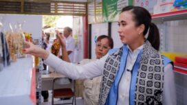 Menpar Widiyanti Putri saat kunjungan daerah (Ist)