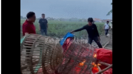 Polisi membakar separangkat kurungan ayam dan bambu arena sabung ayam di Gedek, Mokoerto, dalam operasi minggu, 21 September 2025. Foto: Instagram@kabarmojokerto.id