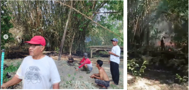 
					Terjadi kebakaran sampah merembet ke rerumputan dan batang bambu,  Pandanwangi, Diwek, Jombang, Minggu (7/9/2025) pagi, kejadian nyaris merenggut nyawa Bonadji Hadi Prayitno (78). Foto: Damkar_Pemkab_Jombang