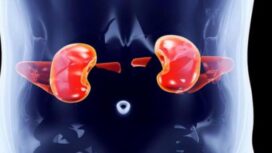 Donor ginjal nantinya lebih mudah