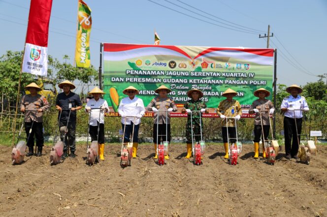 
					Saat seremonial penanaman jagung serentak kuartal IV yang dipimpin langsung Kapolres Jombang