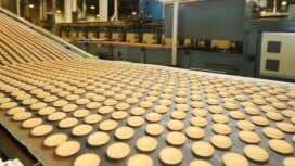 Ilustrasi UPF, sumber istimewa