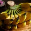 Pisang buah banyak manfaat
