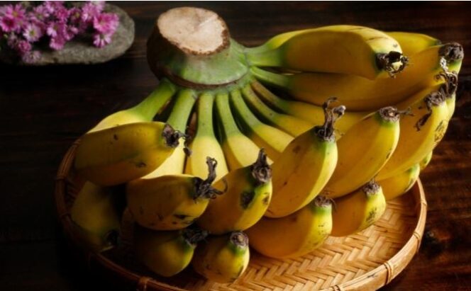 
					Pisang buah banyak manfaat