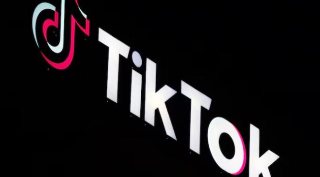 Ilustrasi TikTok