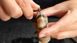 Garis hitam mengandung bahan berbahaya