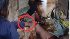 Polisi menahan kedua orang tua warga Mesuji, Lampung Tengah, karena merantai anak perempuannya bernam S, 6, karena ditinggal pergi ke rumah sakit untuk mengobatkan anak kedua. Foto: INstagram@lampunggehnews