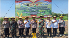 Tanam jagung serentak Kuartal IV dilaksanakan di desa Sawiji, Jogort, Jombang, Rabu 8 September 2025, dilaporkan Forkoca Jogorot dilaporkan menggunakan video ke Youtube.com. Foto: jombangkab.go.,id