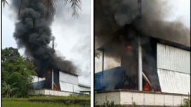 Diduga akibat percikan api dari mesin boiler, menyebakan terjadi insiden kebakaran hebat terjadi pada Senin pagi, 27 Oktober 2025, di area belakang Pabrik Triplek Margo Joyo Plywood di Dusun Karangharjo, Desa Karangharjo, Kecamatan Glenmore, Banyuwangi, Senin 27 Oktober 2025. Foto: TikTok@warganet