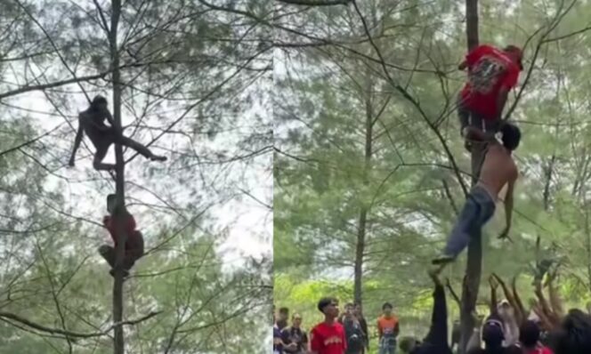 
					Viral, Pria Mabuk di Kebumen Panjat Pohon, Endingnya Netizen Puas