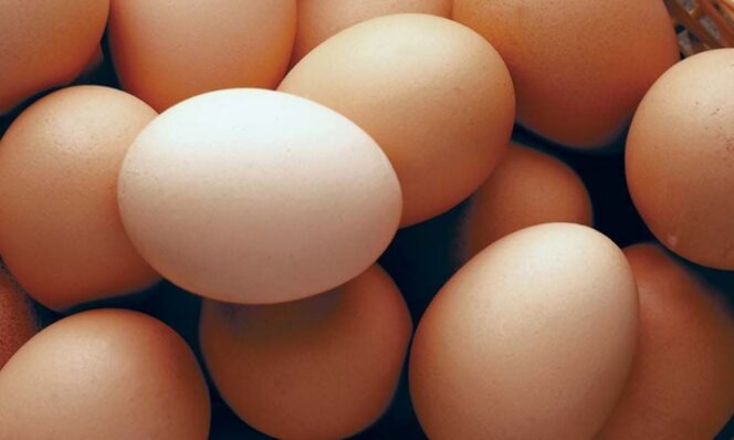 
					Kebijakan Baru FDA 2025 tentang Jumlah Konsumsi Telur per Hari