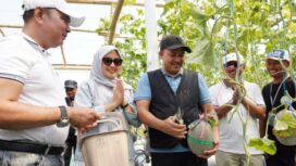 CREATOR: gd-jpeg v1.0 (using IJG JPEG v62), quality = 90?