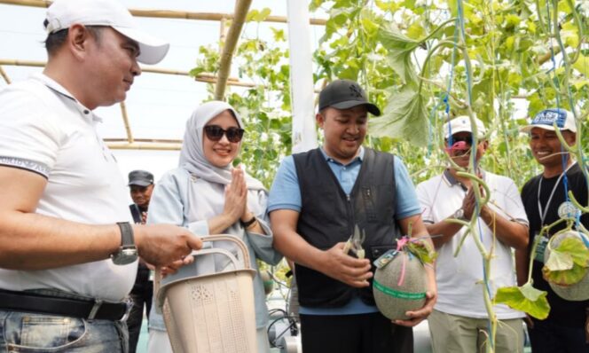 
					CREATOR: gd-jpeg v1.0 (using IJG JPEG v62), quality = 90?