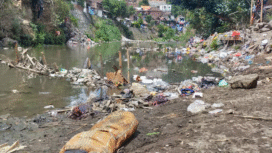 Salah satu sudut daerah aliran sungai Brantas, dipenuhi sampah plastrik. Kondisi pasti akan mempengaruhi kesehatan sungai Sungai Brantas. Foto: liputan6