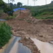 Akibat hujan lebat, menyebabkan tanah longsor di lokasi desa Kradinan, Kecamatan Pagerwojo pada Jumat (31/10/2025) siang menyebabkan longsor susulan di jalan penghubung Kabupaten Tulungagung dan Trenggalek, tepatnya di samping SDN 02 Kradinan, Desa Kradinan. Foto: antara