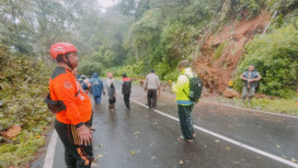 Terjadi pohon tumbang di jalur ke arah Cemorosewu,Magetan, dan telah diatasi oleh tim BPBBD, Polisi dan TNI, Sabtu, 15 November 2025, Pengguna jalan diminta wasapai kemungkinan tanah longsor. Foto: Bambang Tjuk Winarno