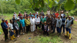 Pernyataan dukungan juga datang dari Ustadz Cung Asy'ari, sebagai Ketua MWC NU Kecamatan Maron yang notabene pemangku wilayah NU maron sekaligus pemilik tanah waqaf yang diserahkelolakan kepada PAC GP Ansor Maron, untuk tanaman pisang raja 1000 batang, dimulai Sabtu 15 November 2025. Foto: Panitia Pelaksan Tanaman 100 Batang Pisang Raja