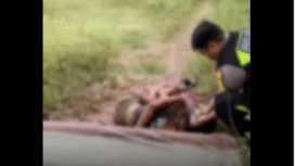 Polisi Sampang melakukan pertolongan dan mengavakuasi seorang pria diduga seorang driver ojol, tergelatk di jalan desa Tabelangan, Sampang Madura. Mata korban ditutup, tangan diborgol penuh luka. Foto: INstagram@wecarebangkalanmadura