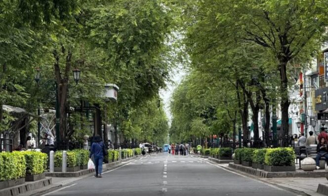
					Jalan Malioboro saat uji coba pedestarian. (Foto.ig@wisatamalioboro) 
